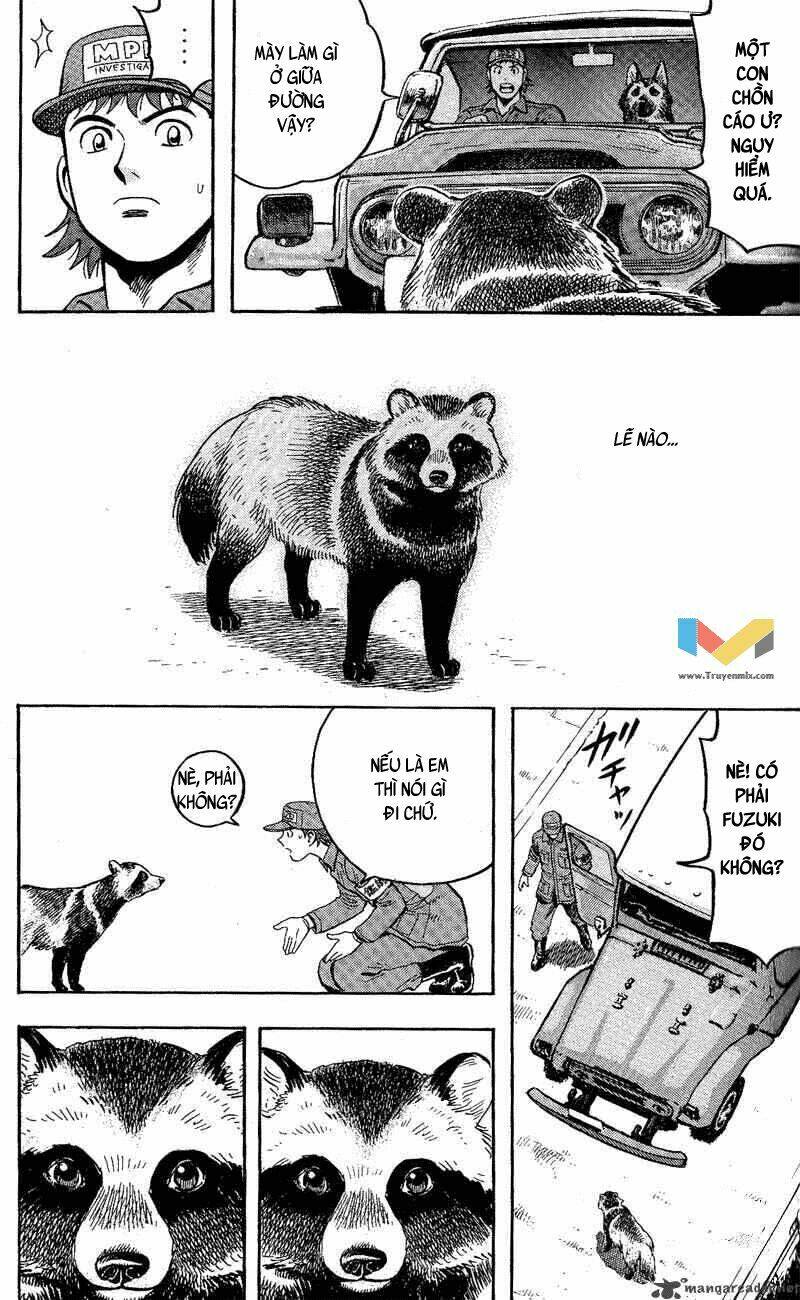 animal sense chapter 10 23