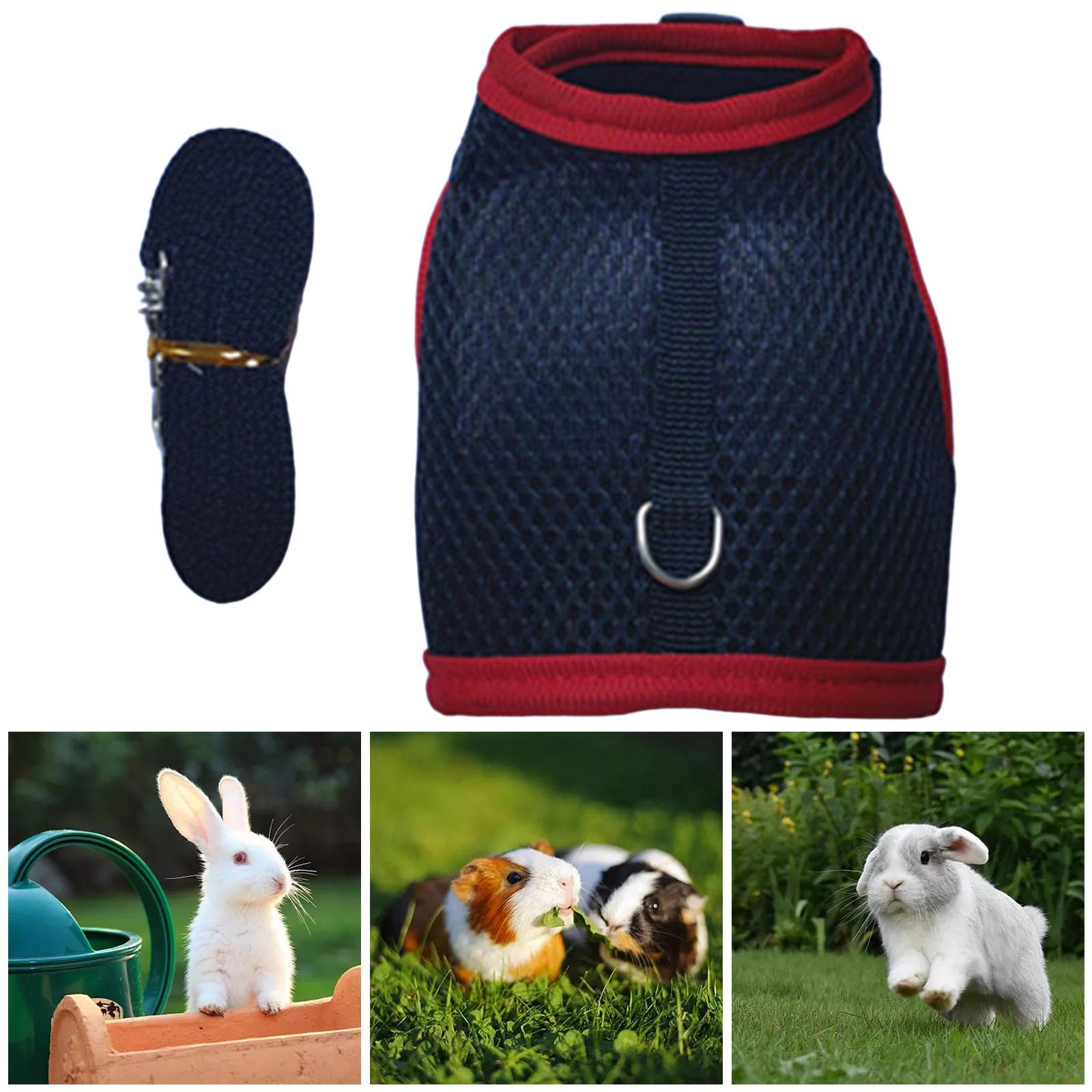 Rabbit Harness and Leash Set Mesh Vest Harness for Bunny Kitten Guinea