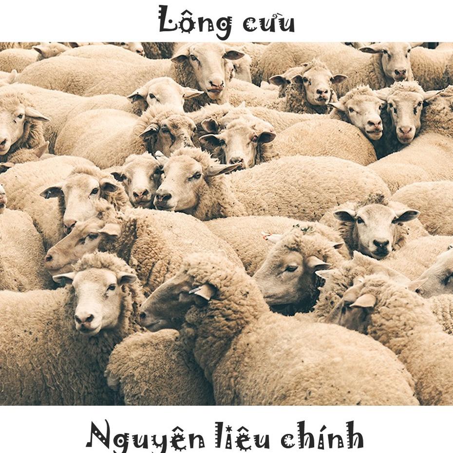Quần nỉ jogger lót lông cừu - Quần jogger nỉ lông cừu giữ ấm mùa đông cao cấp