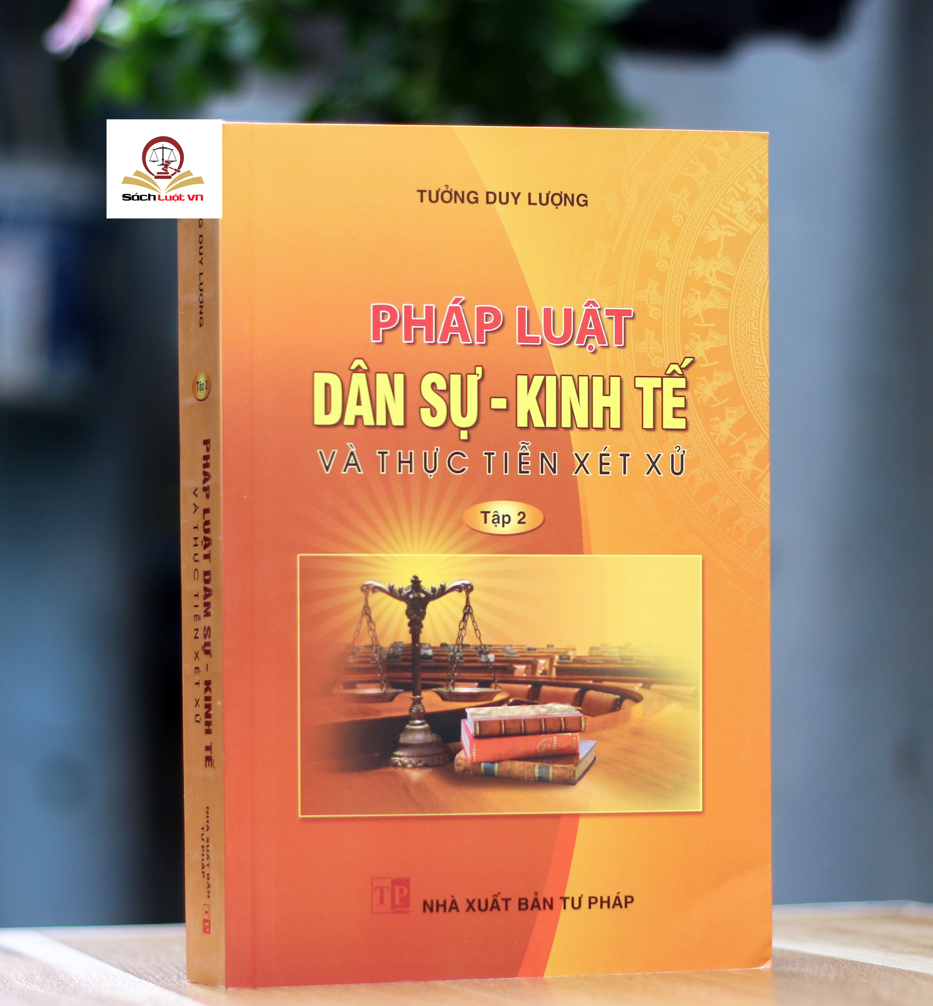 Pháp luật dân sự – kinh tế và thực tiễn xét xử (Tập 2)