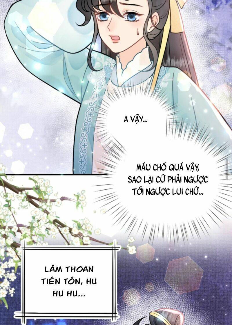 toàn tông môn đều là kẻ si tình, chỉ có ta là tỉnh táo chapter 63 3