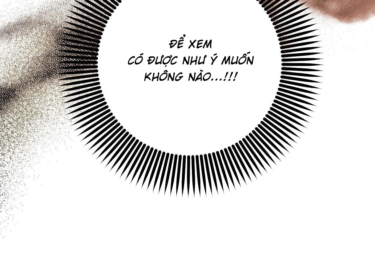 những chú thỏ của hapypy chapter 61 189