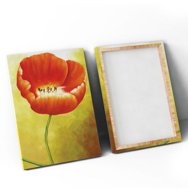 Bộ 4 Tranh Canvas Viền Composite "Hoa Mỹ Nhân Vừa Nở" W076