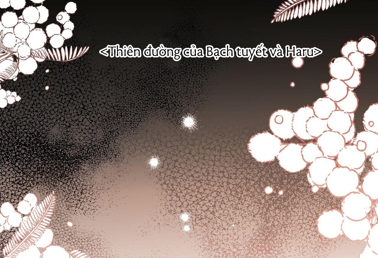 đàn thỏ của habibi chapter 32 177