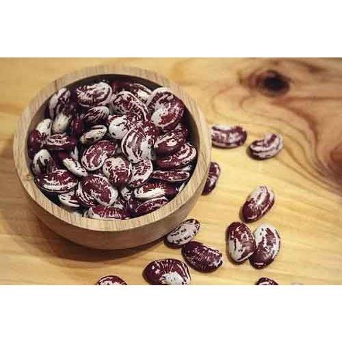 Hạt giống đậu ngự F1 KNS383 - Gói 5 hạt