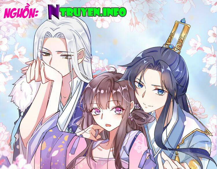 hoa nhan sách chapter 4.1 1