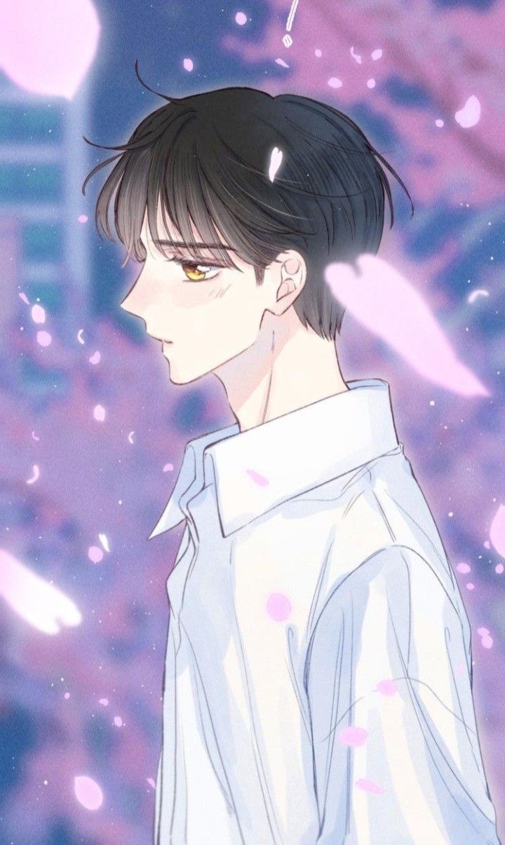 nỗi buồn của hoa cẩm tú cầu chapter 4.1 2