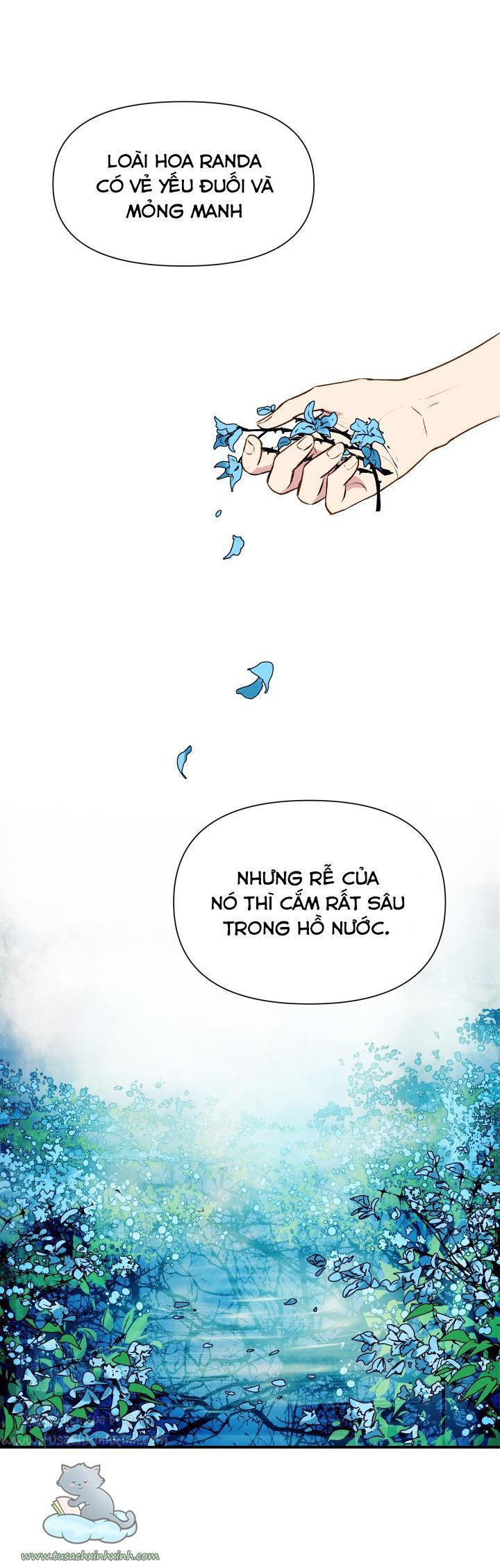công nương khế ước của gia tộc công tước quái vật chapter 31 36