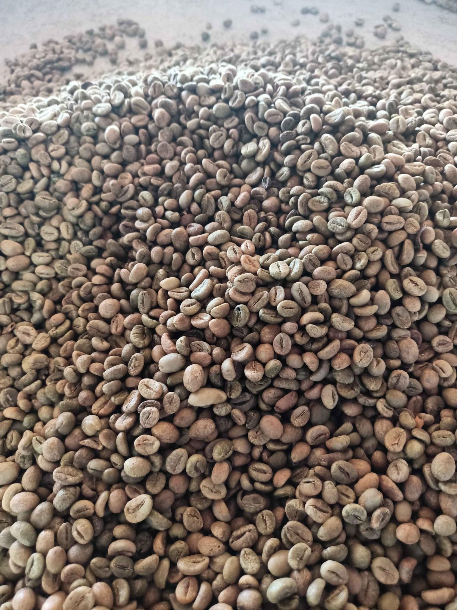 500g Cà Phê Nhân Robusta