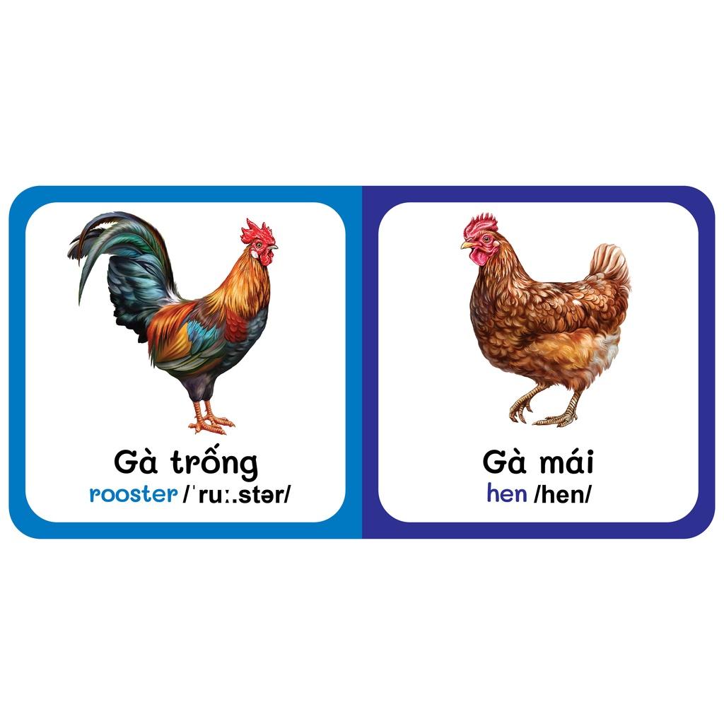 Sách - Baby'S First Picture Dictionary - Từ Điển Bằng Hình Đầu Tiên Của Bé - Động vật Nuôi - Farm AniMals (Bìa Cứng)