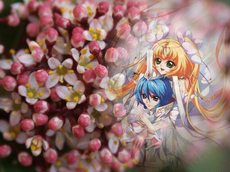 tổng hợp ảnh ghép dành cho fan a3 manga chapter 8.1 1