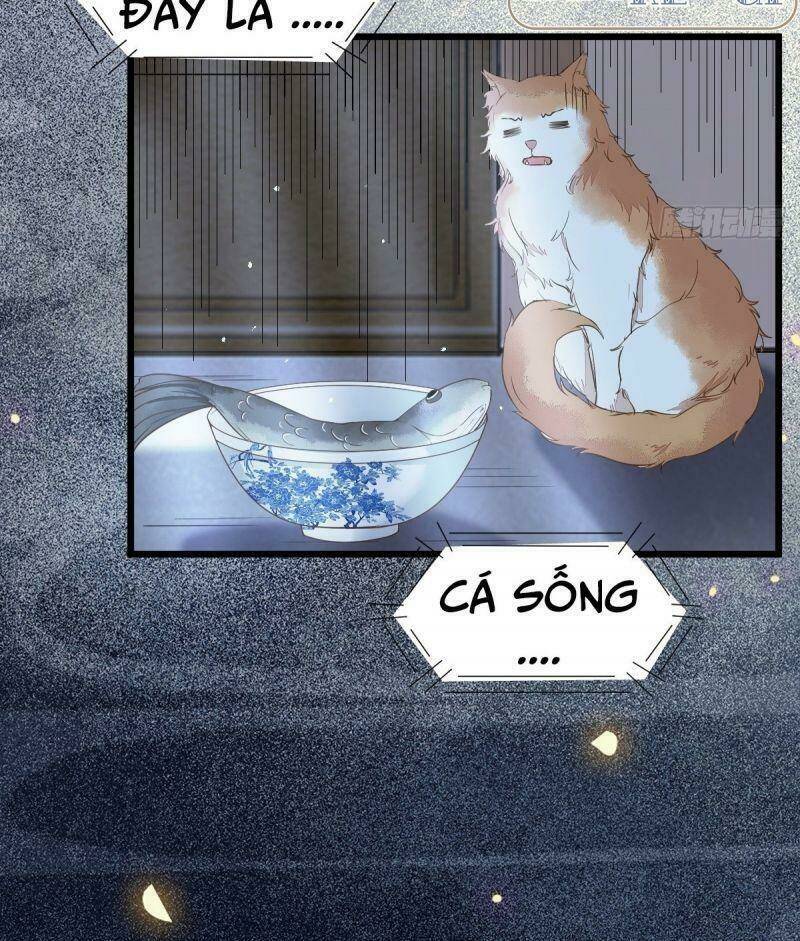 sát thủ vương phi không dễ chọc chapter 38 27