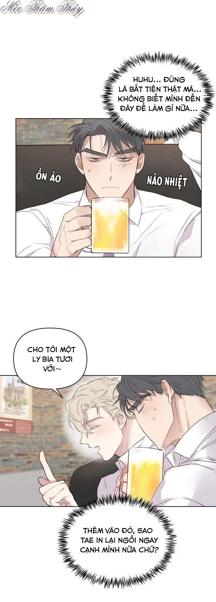 nơi tình yêu định mệnh chapter 2 15