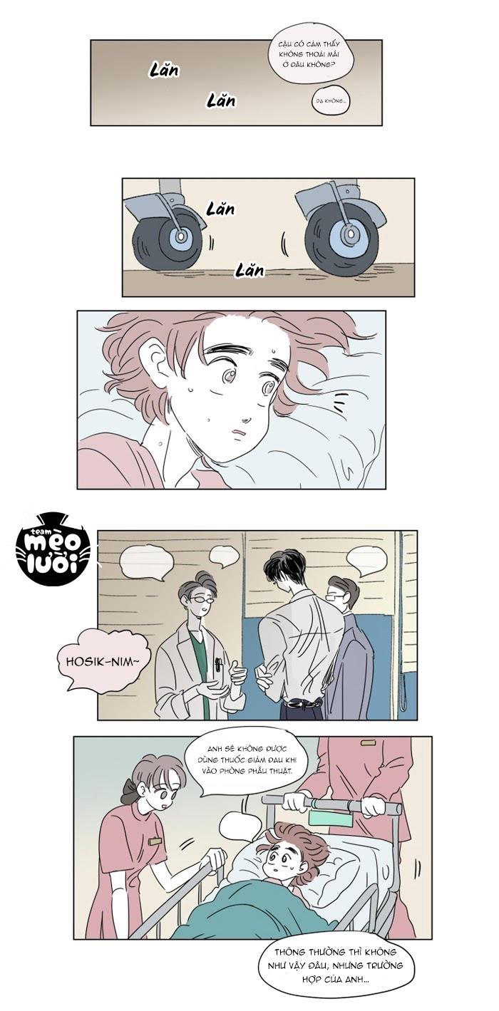 câu chuyện của hosik chapter 29 11