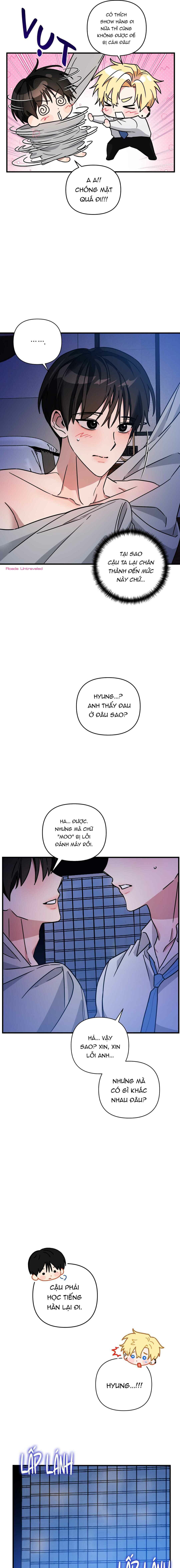 mối tình lừa đảo chapter 12 4