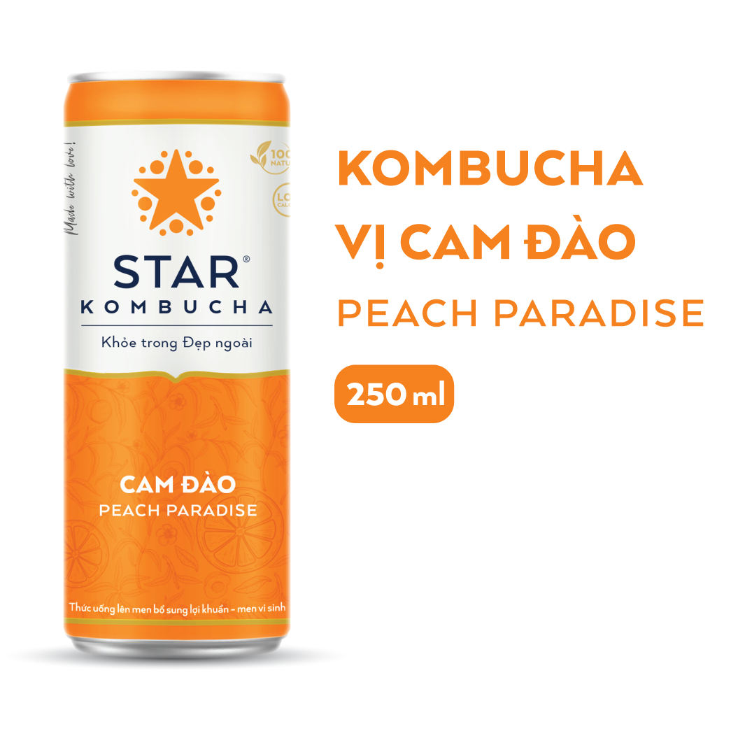 Lốc 6 lon thức uống lên men STAR KOMBUCHA mix vị (250ml/lon)