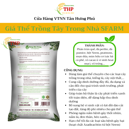 Giá thể trồng cây trong nhà