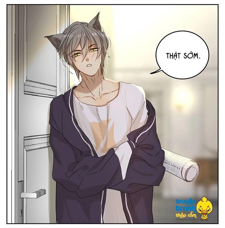 cứu mạng ! loài mèo thống trị thế giới rồi ! chapter 12 14