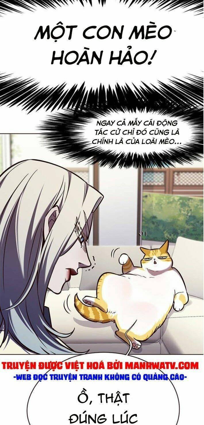 biến thân thành mèo chapter 141 50