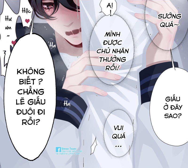 mệnh lệnh chapter 10 4