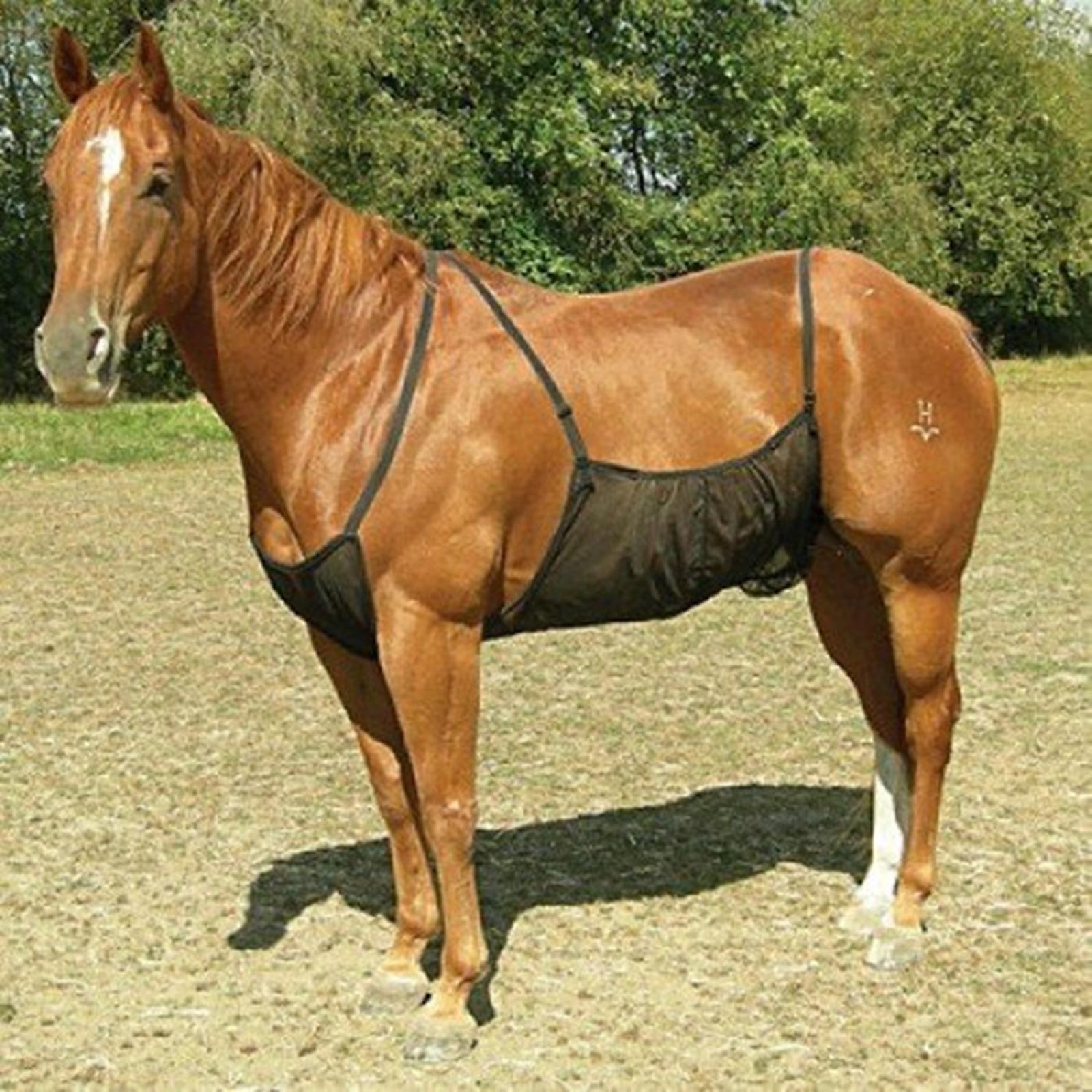 Horse Bug Fly Sheet Stretch Rug