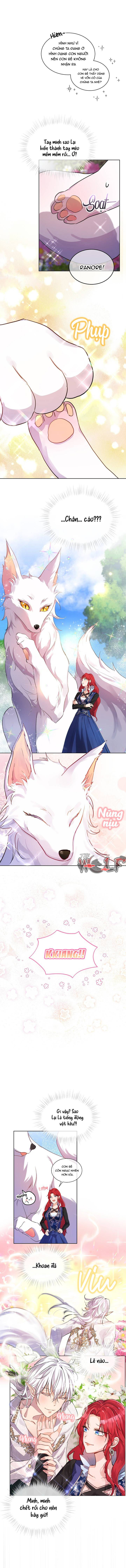 tái sinh thành bé thần thú nhỏ chapter 0 11