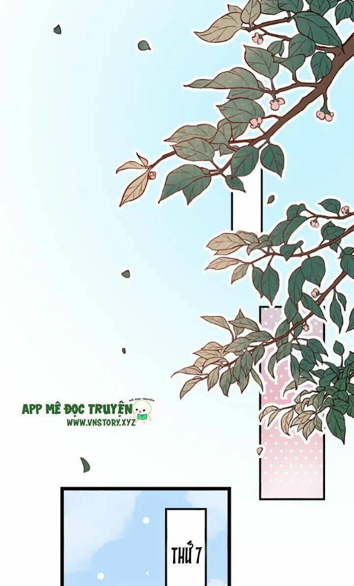 trạch thượng tịch mịch huỳnh hỏa chapter 28 1