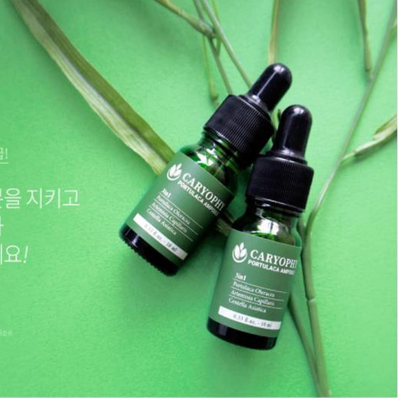 Serum Rau Má hỗ trợ giảm Mụn Caryophy Portulaca Ampoule 10ml