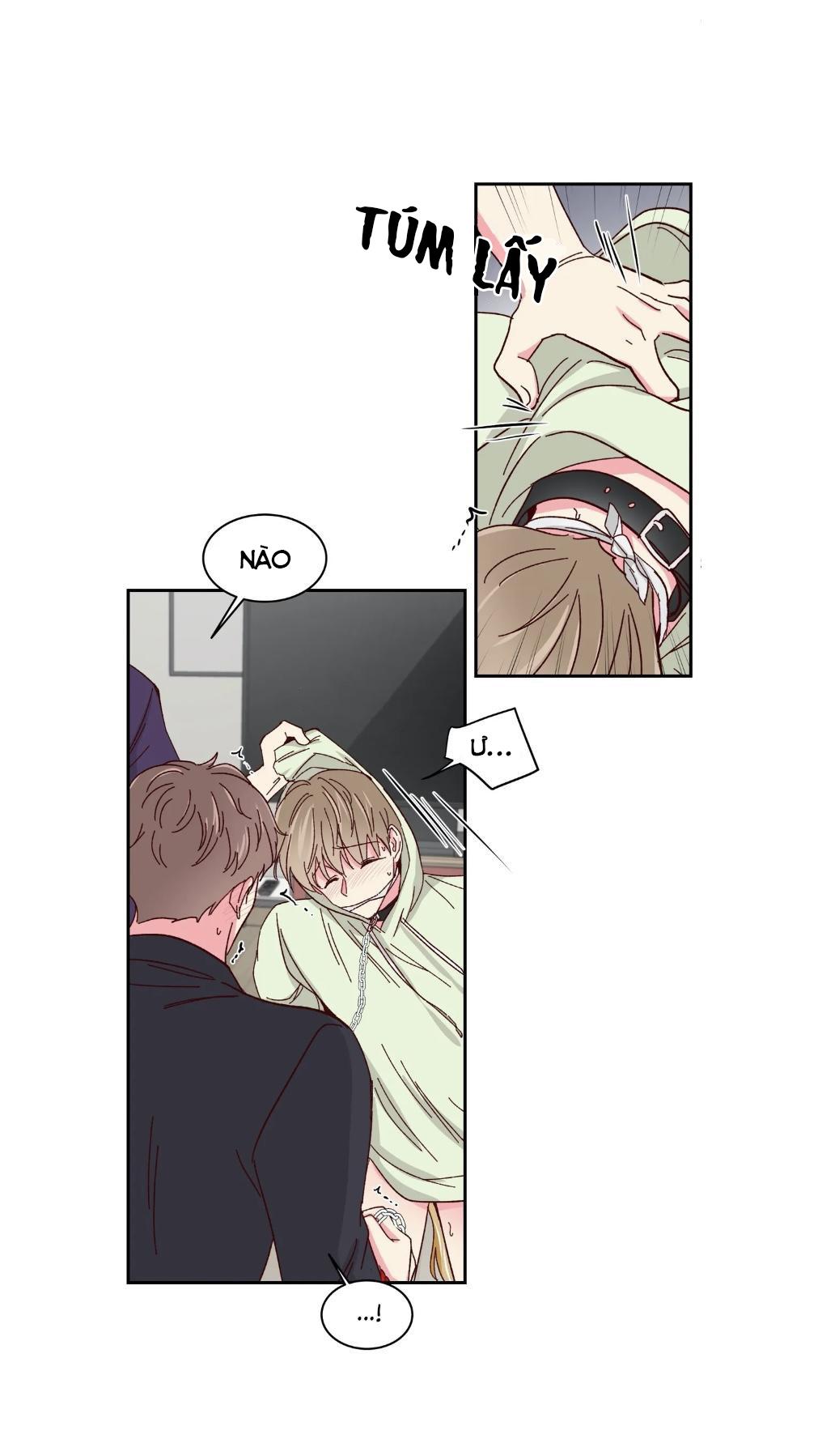 món tráng miệng của sếp tổng chapter 57 28