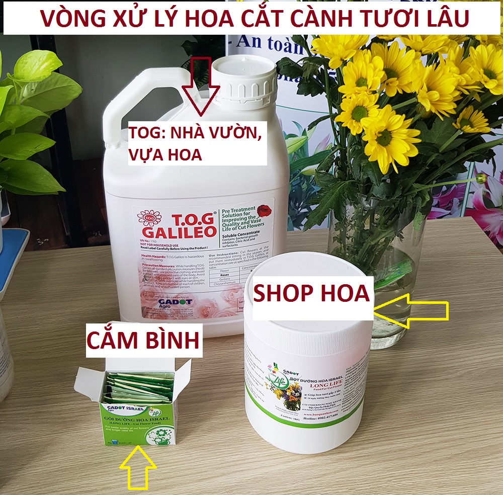 Bột cắm hoa cắt cành Longlife SG của Israel - Food For Cut Flower , giúp shop hoa bảo quản hoa tươi lâu và không thay nước, cắt tỉa gốc hay hạn chế thay hoa định kỳ theo tuần