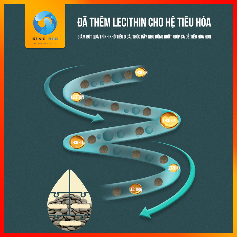 Cám Yee Ground Fish - Thức ăn dinh dưỡng hỗ trợ tiêu hóa cho các loại cá sống tầng đáy