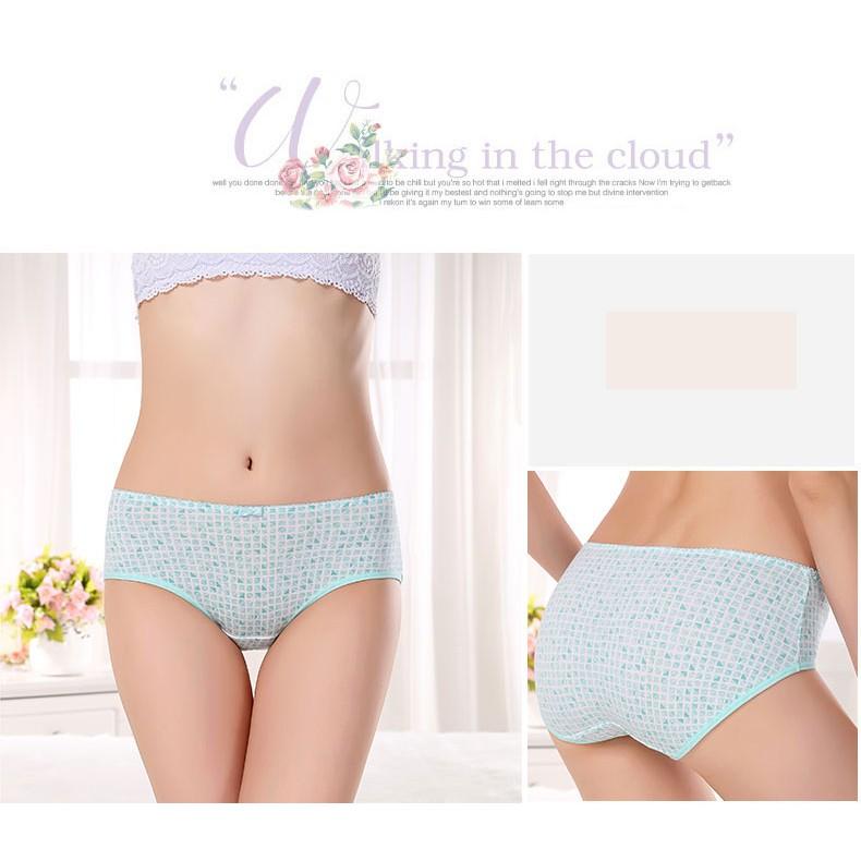 Bigsize Nữ - Quần Chip Ngôi Sao