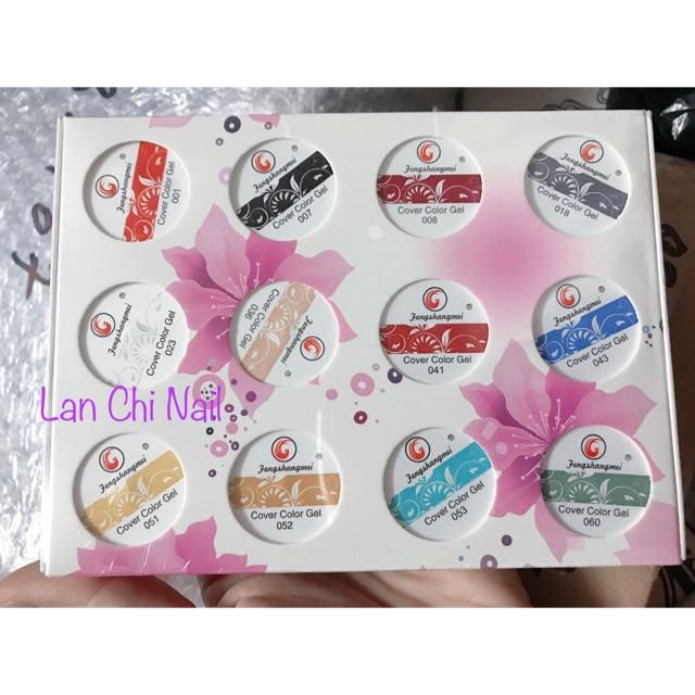 Gel vẽ fengshanmei, sét gel vẽ 12 màu fengshanmei