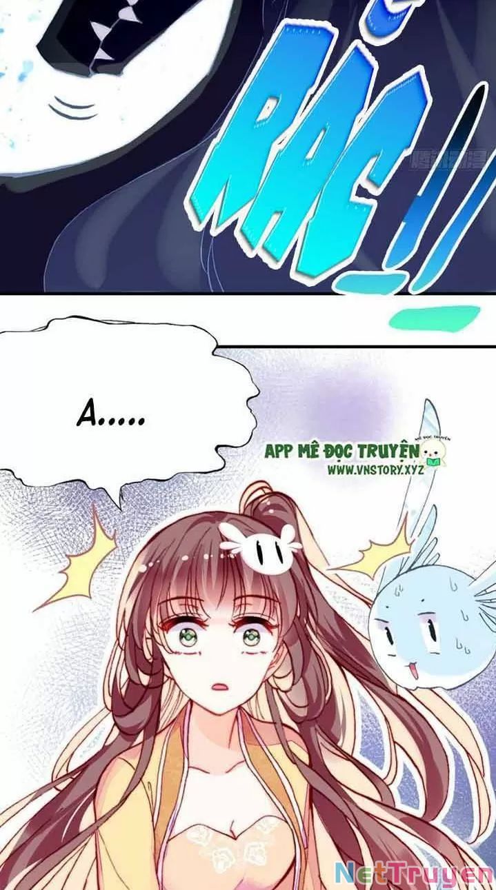 lại bị bệnh chiều chuộng quấn lấy chapter 13 51