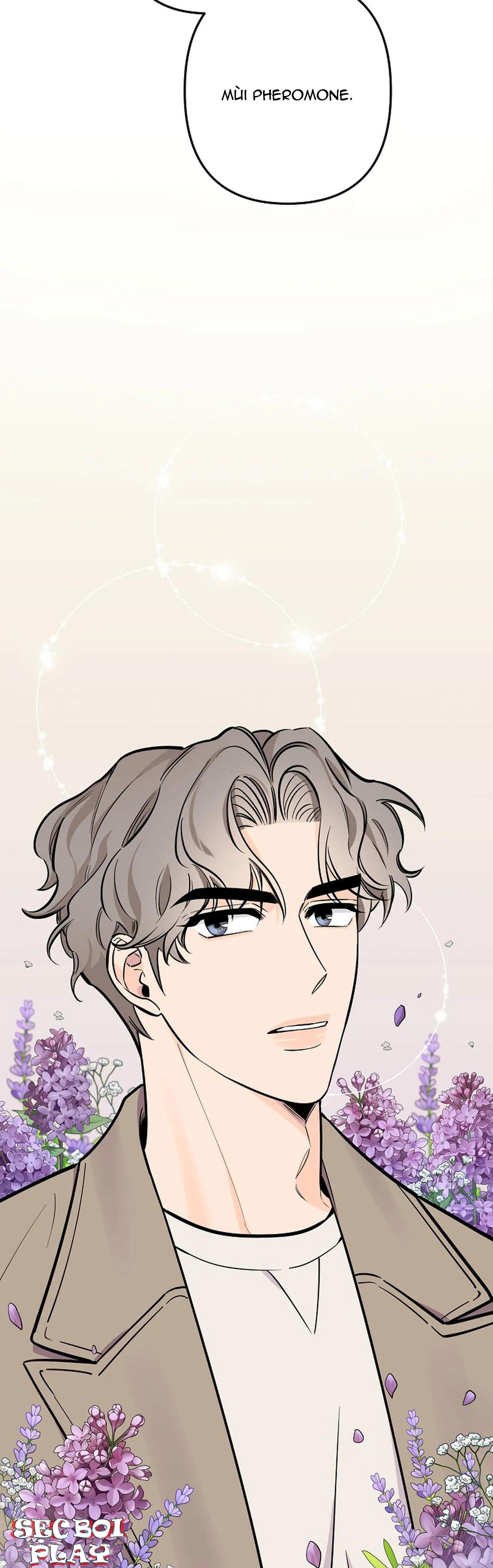 đêm dịu dàng chapter 22 11