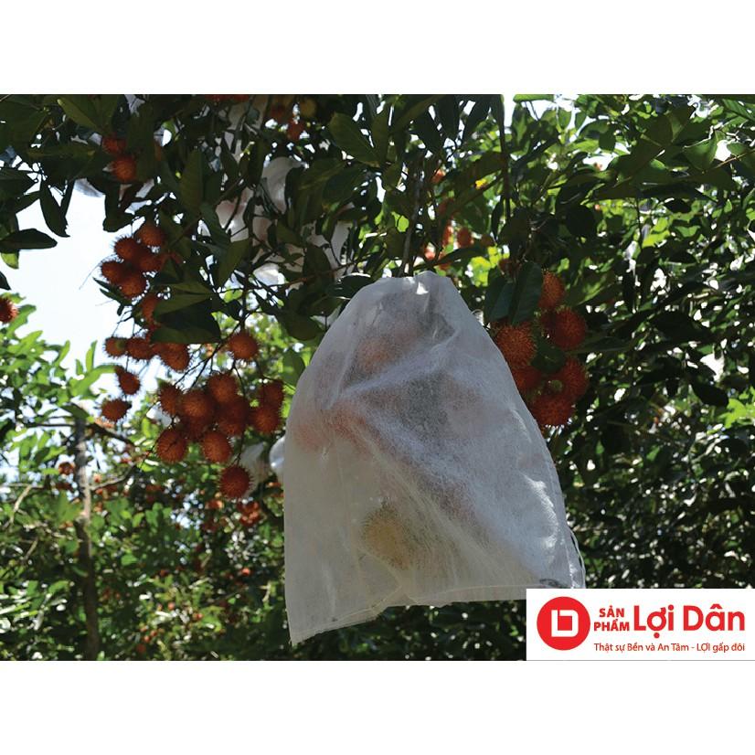 50 CÁI TÚI DÙNG ĐỂ BAO,BỌC NHO,NHÃN,BƯỞI DIỄM DA XANH