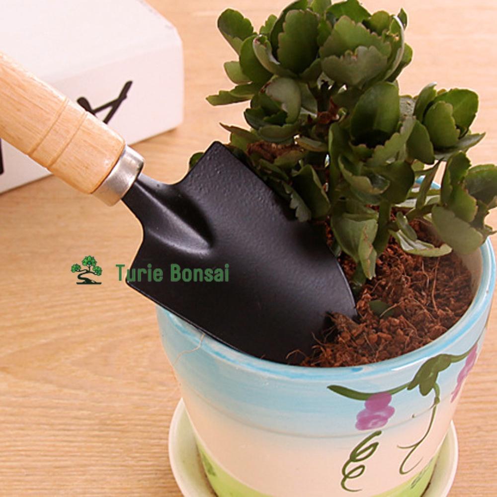Bộ 03 Dụng cụ làm vườn cán gỗ Xẻng + Bay + Cào đất trồng rau trồng hoa chăm cây cảnh