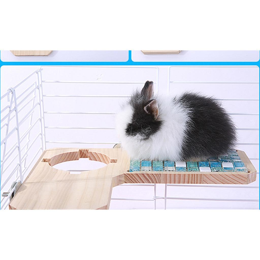 Hamster Wooden Stand Platform Hamster Cage Accessories for Small Pet