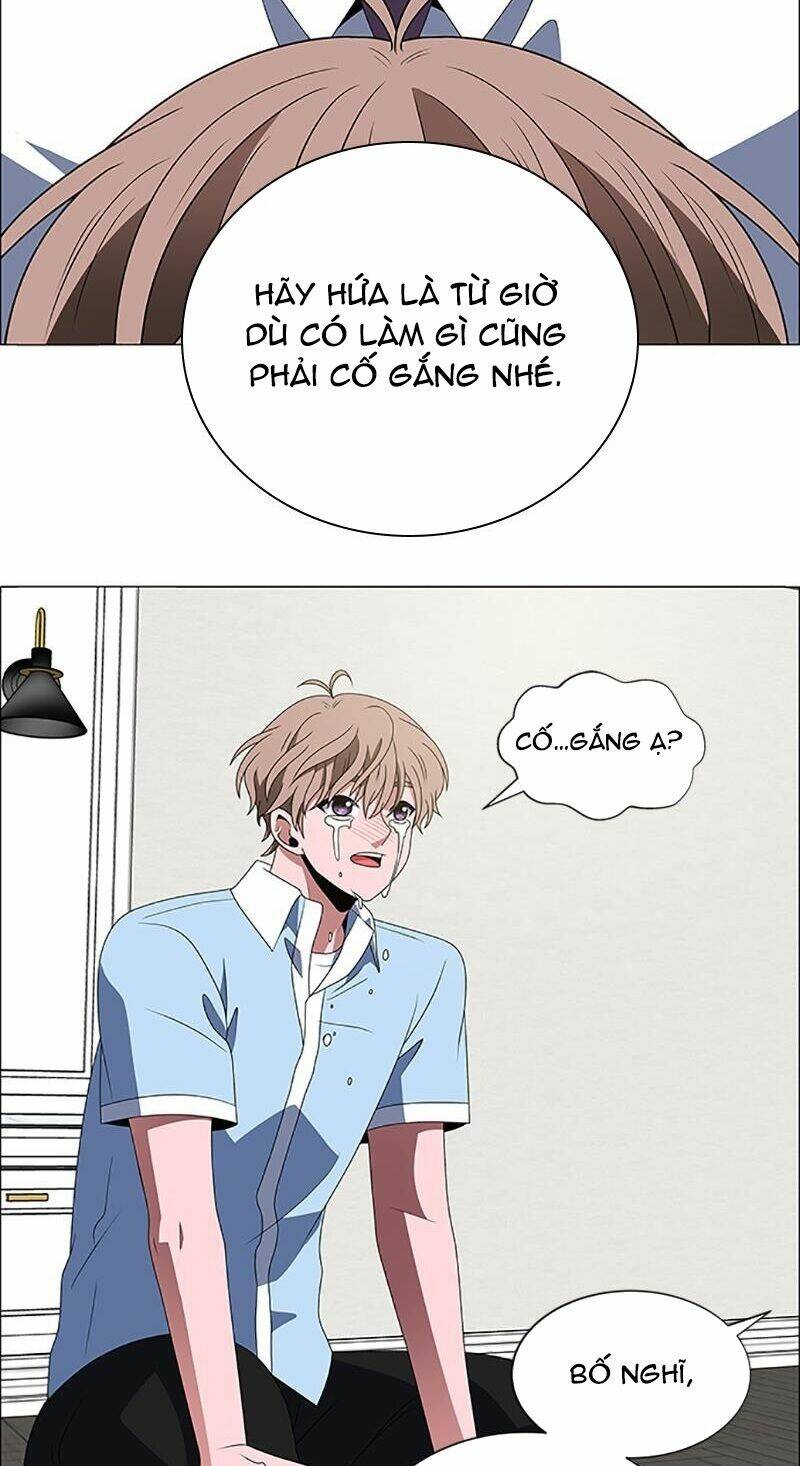 no scope chapter 103 26