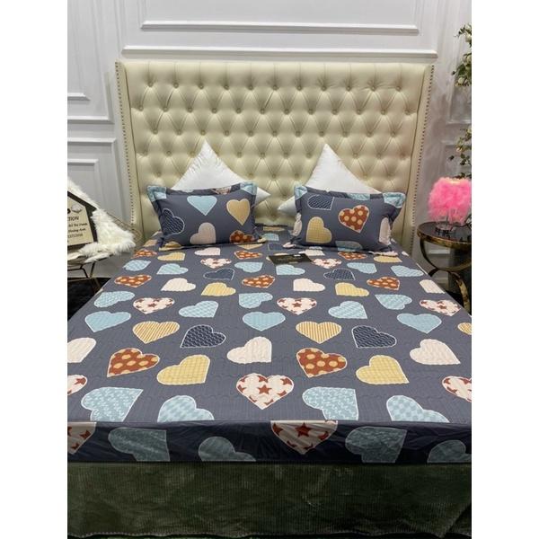 Bộ Ga Gối Cotton, Ga Chun Trần Bông Đủ Kích Thước Nệm Bọc Được Đệm 10p Ga Phân Phối Độc Quyền