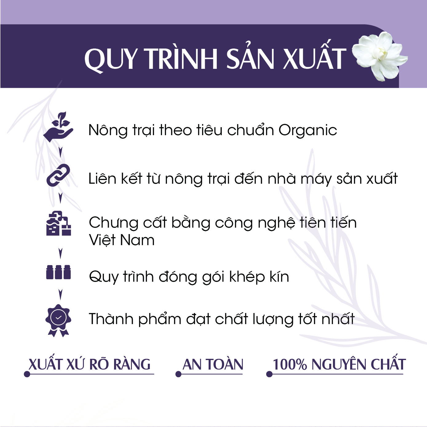 Combo 2 Tinh dầu Xịt phòng Sả Chanh + Oải Hương Hữu Cơ Organic 24Care 100ML/Chai - Có giấy Công bố của Bộ Y Tế