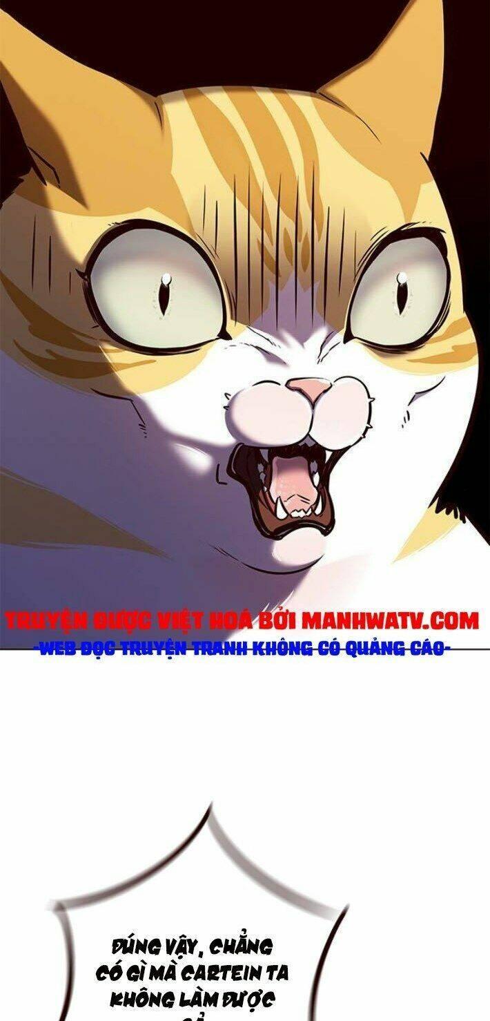 biến thân thành mèo chapter 141 70