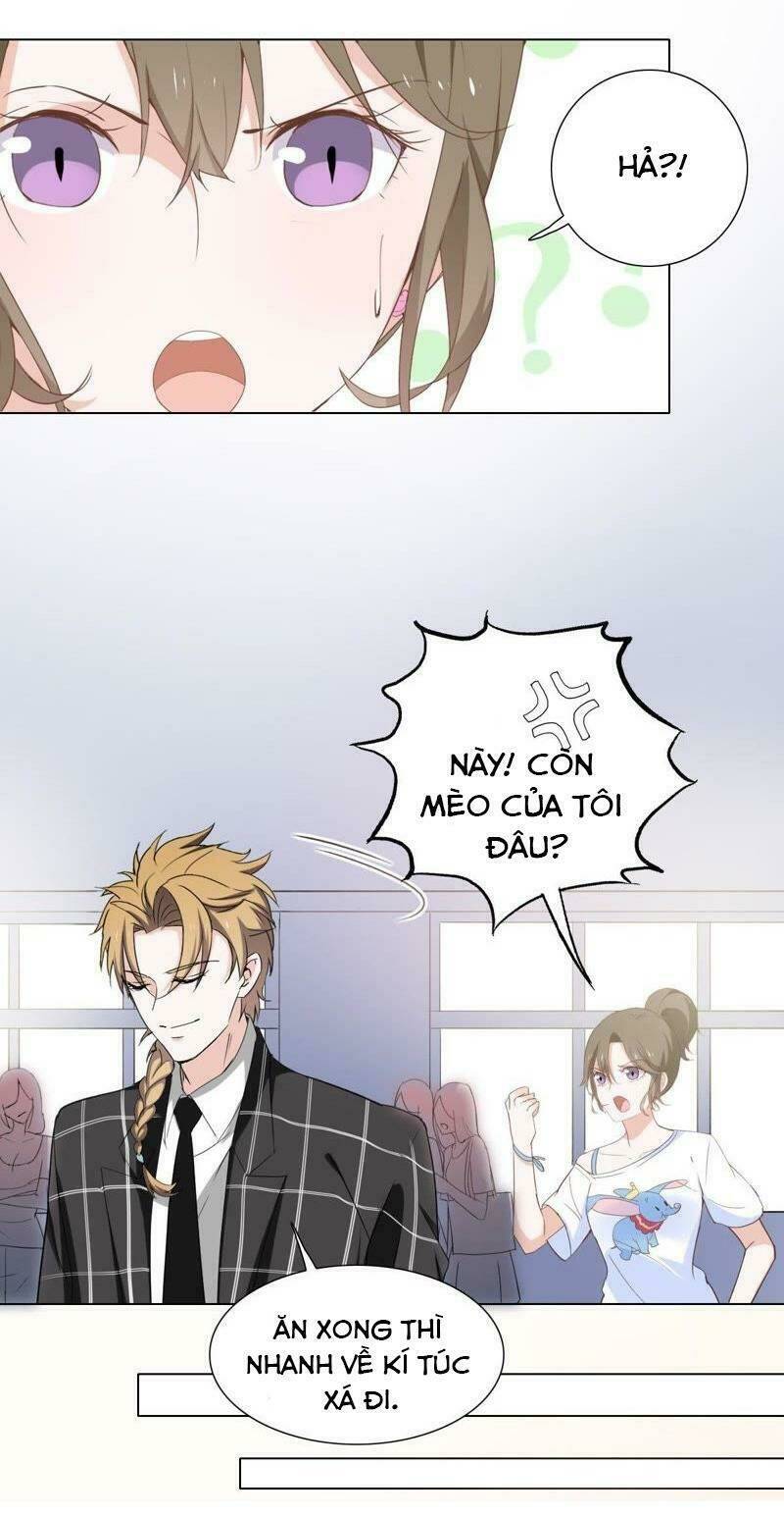 thập nhị hắc miêu chapter 4 5