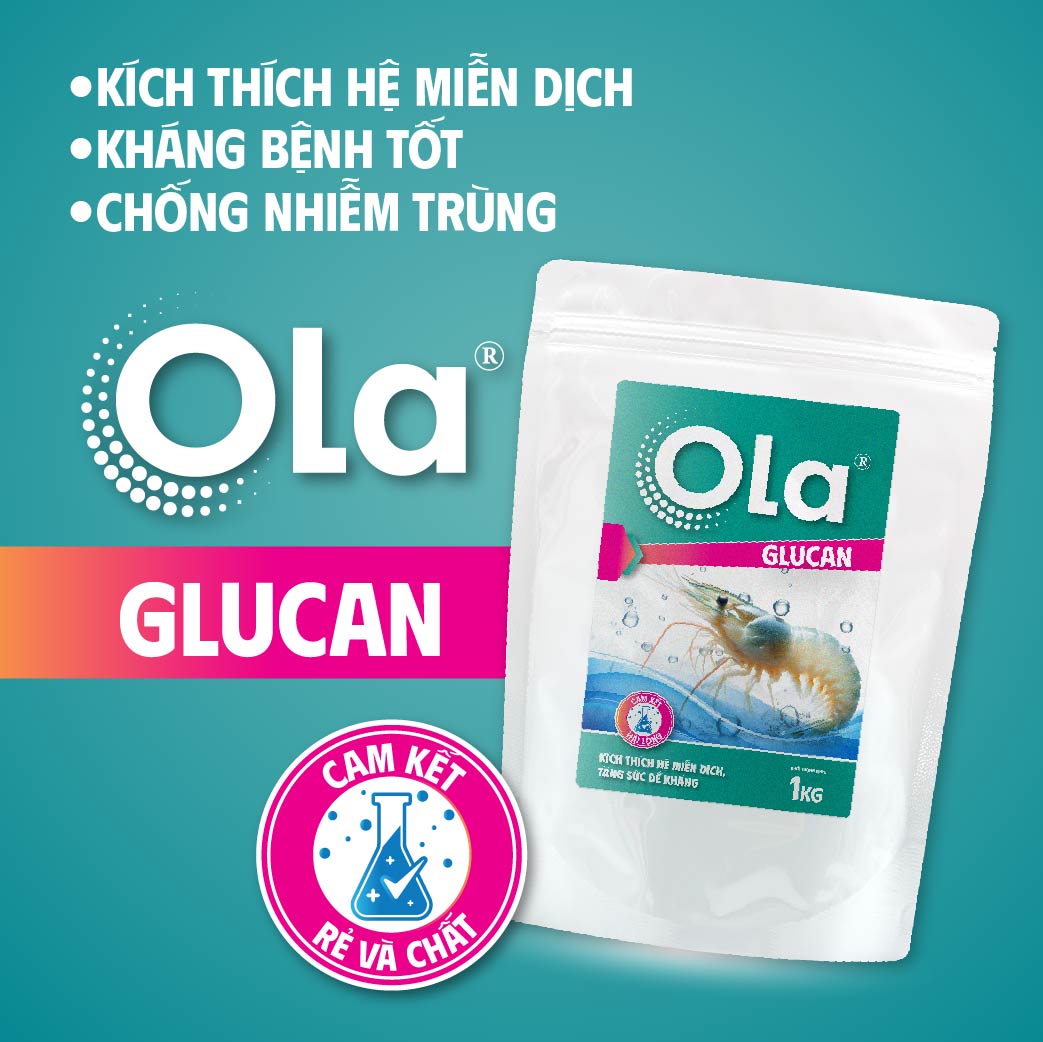 OLA GLUCAN: Kích thích hệ miễn dịch, đề kháng tốt, chống nhiễm trùng