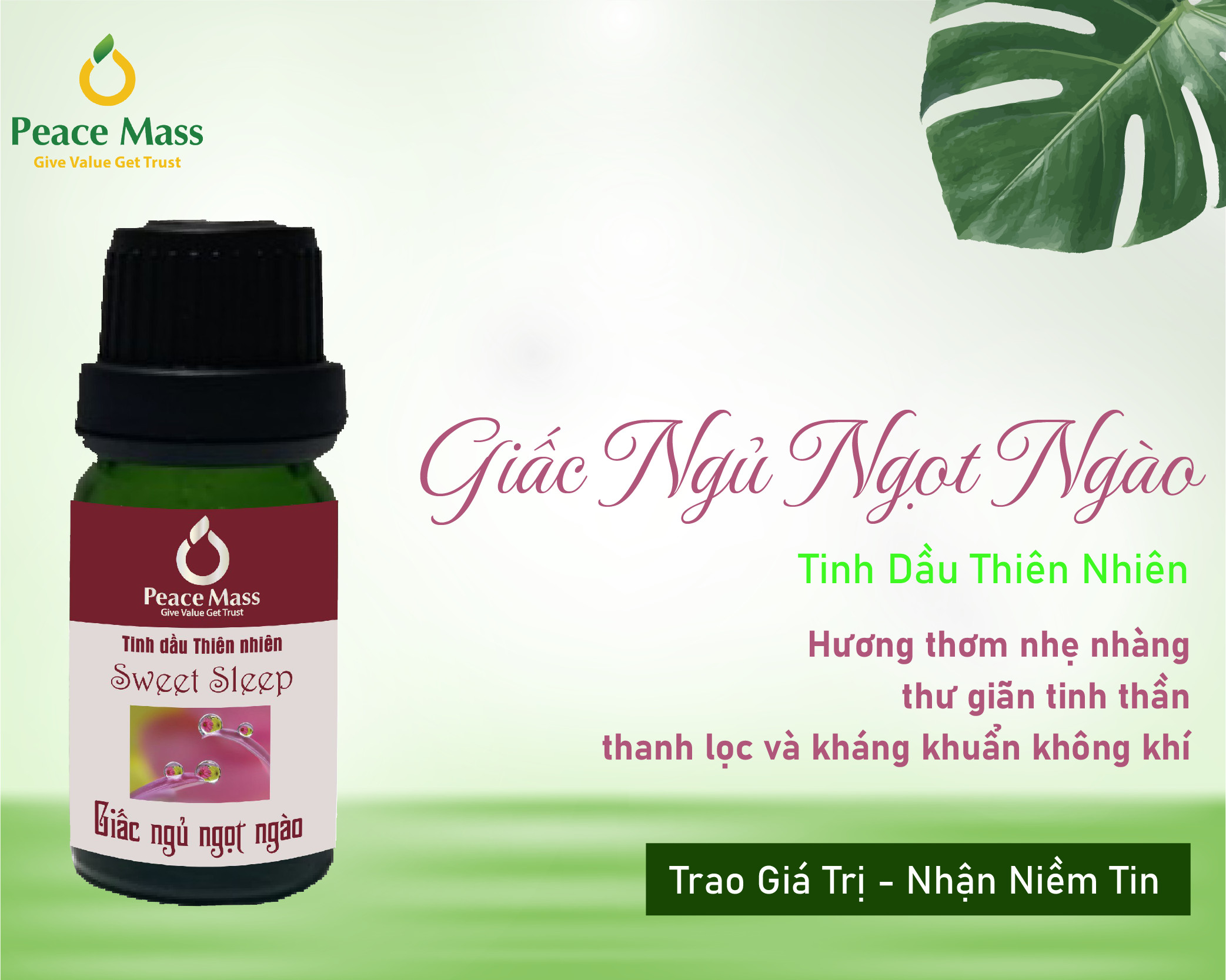 Tinh dầu Giấc ngủ ngọt ngào Peace Mass dùng cho máy xông 10ml