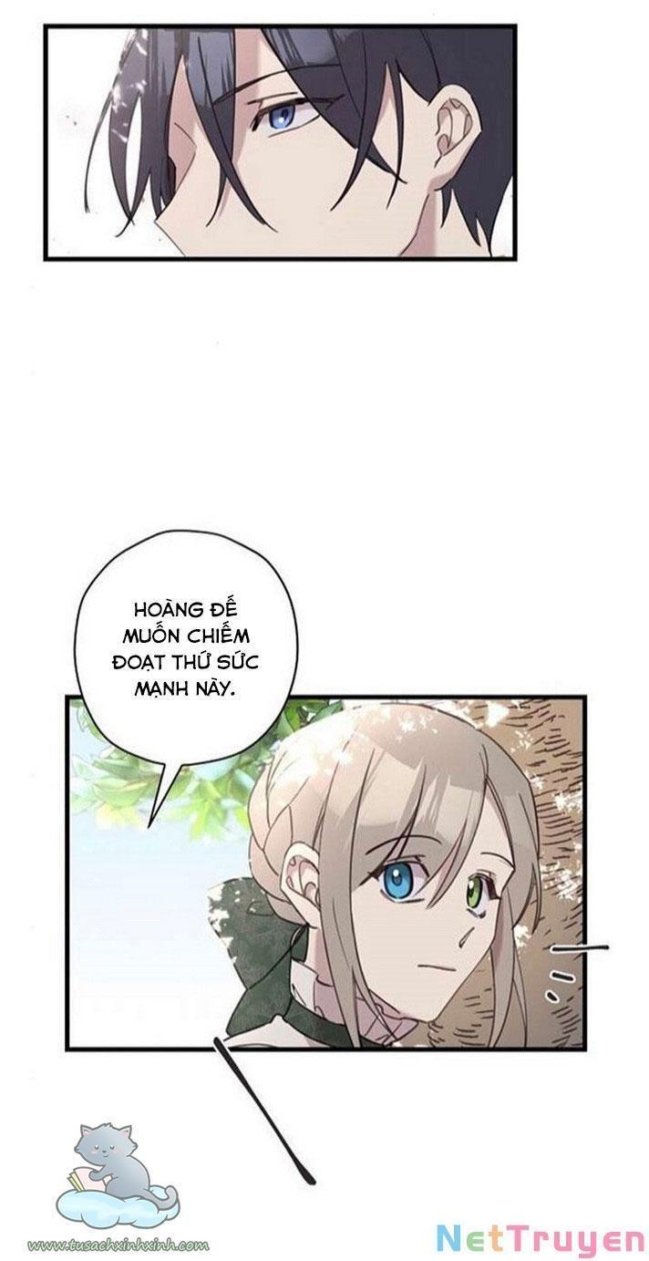 xin hãy cứ khóc, thái tử chapter 12 37