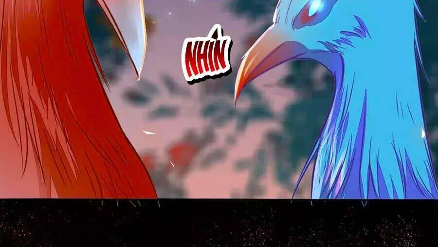 thần y khí nữ: ngự thú cuồng phi của quỷ đế chapter 69 114