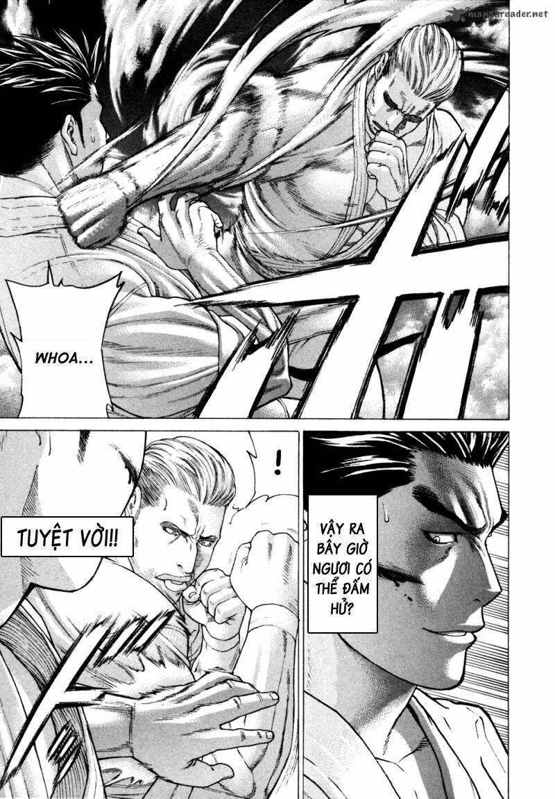 karate shoukoushi kohinata minoru chapter 136 17