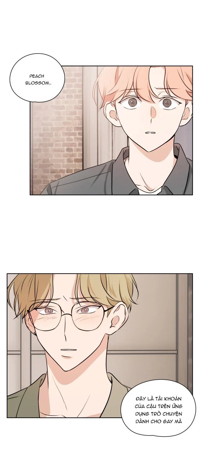 khi đào nở hoa chapter 16 22