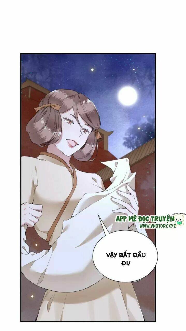 phượng hoàng vu phi chapter 71 20